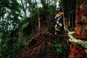 BIB: 
                            <button type="button" onclick="openModal(26198104)" class="btn btn-primary btn-sm float-right btn-popup" data-toggle="modal" data-target=".modal-high-quality">
                        <i class="fas fa-shopping-cart"></i> Add to Cart
                    </button>
                                            <button type="button" onclick="isThisMe(26198104, true)" class="btn btn-success btn-sm float-right btn-popup btn-isme hidden" data-toggle="tooltip" data-placement="bottom" title="นี่คือรูปของคุณใช่ไหม คลิกที่นี่เพื่อเอาเข้าอัลบั้ม">
                        <i class="fas fa-plus"></i> Add to album
                    </button>
                    <button type="button" onclick="isThisMe(26198104, false)" class="btn btn-warning btn-sm float-right btn-popup btn-isnotme hidden">
                        <i class="fas fa-ban"></i> Remove from album
                    </button>